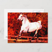 Carte Postale Cheval de course (Devant / Derrière)