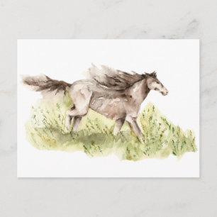 Carte Postale Cheval de course