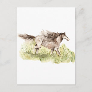 Carte Postale Cheval de course