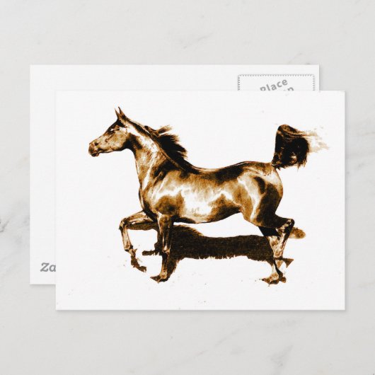 Carte Postale Cheval de course (Devant / Derrière)