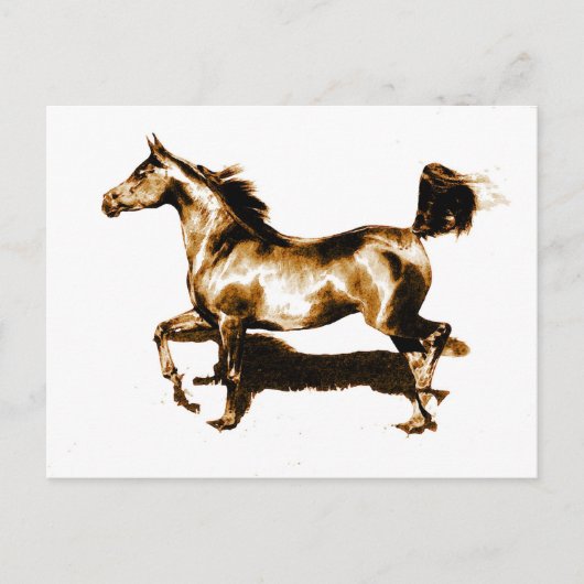 Carte Postale Cheval de course (Devant)