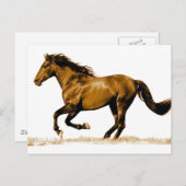 Carte Postale Cheval de course (Devant / Derrière)