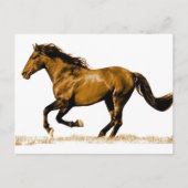 Carte Postale Cheval de course (Devant)
