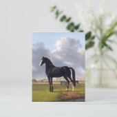 Carte Postale Cheval de course noir vers 1828 (Debout devant)