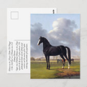 Carte Postale Cheval de course noir vers 1828 (Devant / Derrière)