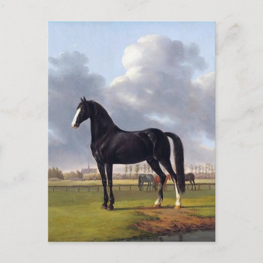 Carte Postale Cheval de course noir vers 1828 (Devant)