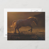 Carte Postale Cheval de course rétroéclairé (Devant / Derrière)