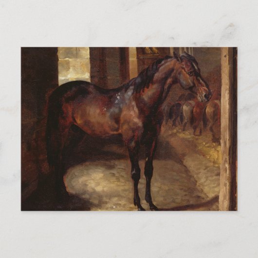 Carte Postale Cheval de Dark Bay dans l'écurie (Devant)