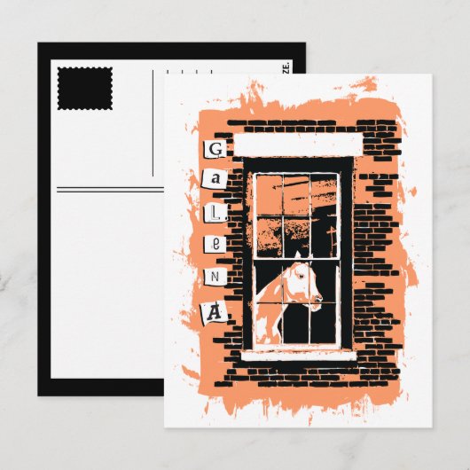 Carte Postale cheval de fenêtre (Devant / Derrière)