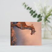 Carte Postale "Cheval de fer" (Debout devant)