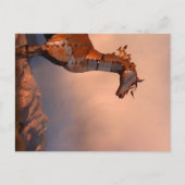 Carte Postale "Cheval de fer" (Devant)