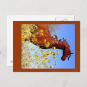 Carte Postale "Cheval de fer" (Devant / Derrière)