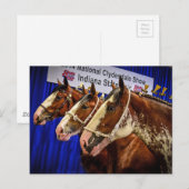 Carte Postale Cheval de fer 3 têtes (Devant / Derrière)