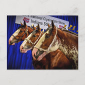 Carte Postale Cheval de fer 3 têtes (Devant)