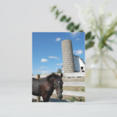 Carte Postale Cheval de ferme (Debout devant)