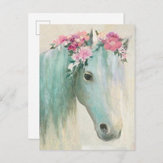 Carte Postale Cheval de Festival (Devant / Derrière)