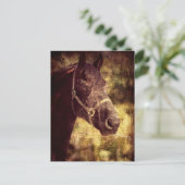 Carte Postale Cheval de Frésie (Debout devant)