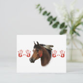 Carte Postale Cheval de guerre (Debout devant)