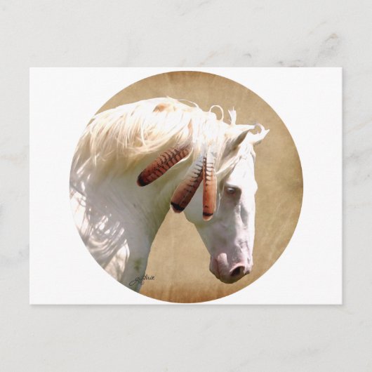 Carte Postale Cheval de guerre blanc (Devant)
