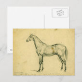 Carte Postale Cheval de guerre du général Grant (Devant / Derrière)