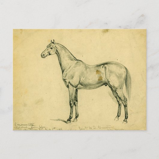 Carte Postale Cheval de guerre du général Grant (Devant)