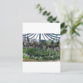 Carte Postale cheval de jardin (Debout devant)