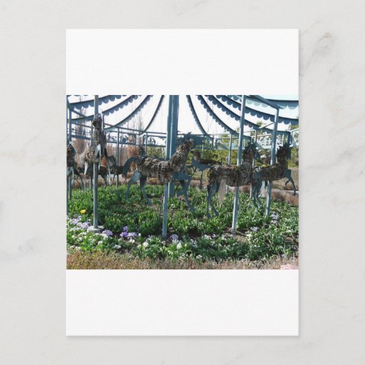 Carte Postale cheval de jardin (Devant)