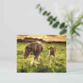 Carte Postale Cheval de la mère et du poulain (Debout devant)