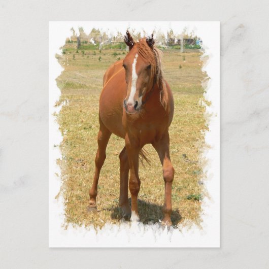 Carte postale Cheval de l'année de châtaignier (Devant)