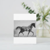 Carte Postale Cheval de marche noir et blanc (Debout devant)
