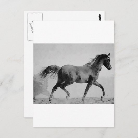 Carte Postale Cheval de marche noir et blanc (Devant / Derrière)