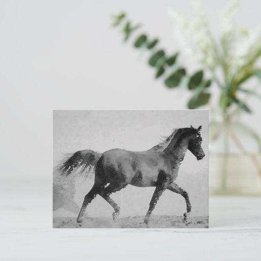 Carte Postale Cheval de marche noir et blanc (Debout devant)