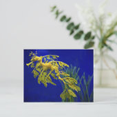 Carte Postale Cheval de mer (Debout devant)