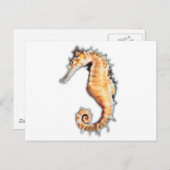 Carte Postale Cheval de mer (Devant / Derrière)