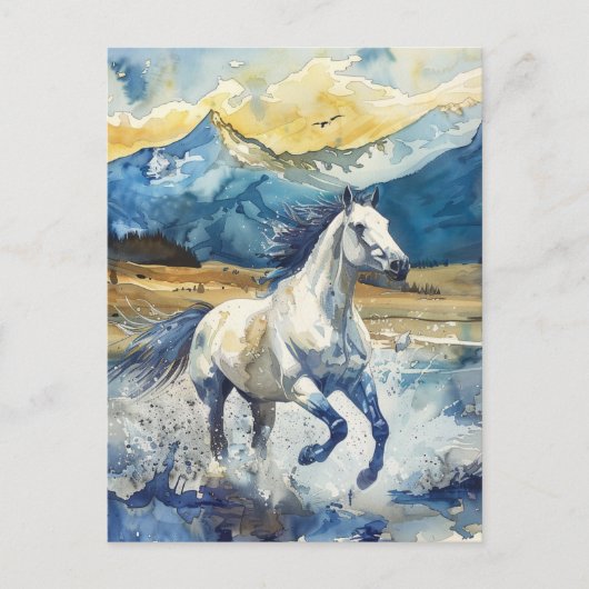 Carte Postale Cheval de montagne (Devant)