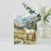 Carte Postale Cheval de montagne (Debout devant)