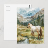 Carte Postale Cheval de montagne (Devant / Derrière)