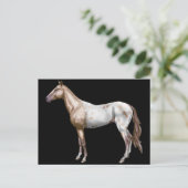 Carte Postale Cheval de Nez Perce (Debout devant)