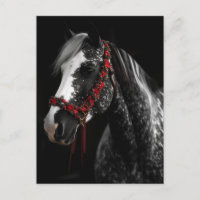 Cheval de Noël