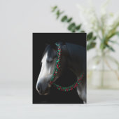 Carte Postale Cheval de Noël (Debout devant)