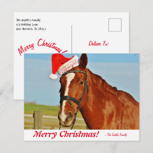 Carte Postale Cheval de Noël Joyeux et personnalisé dans un chap
