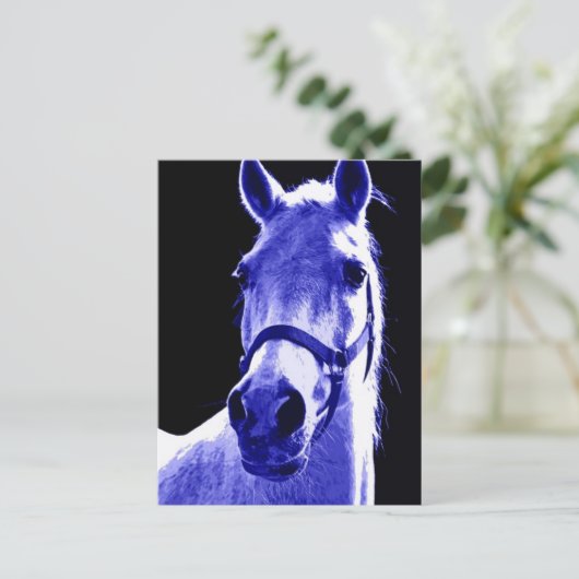 Carte Postale Cheval de nuit (Debout devant)