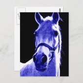 Carte Postale Cheval de nuit (Devant / Derrière)