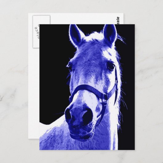 Carte Postale Cheval de nuit (Devant / Derrière)