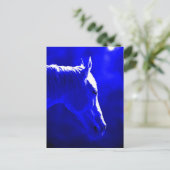 Carte Postale Cheval De Nuit - Cheval De Lune (Debout devant)