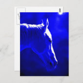 Carte Postale Cheval De Nuit - Cheval De Lune (Devant / Derrière)