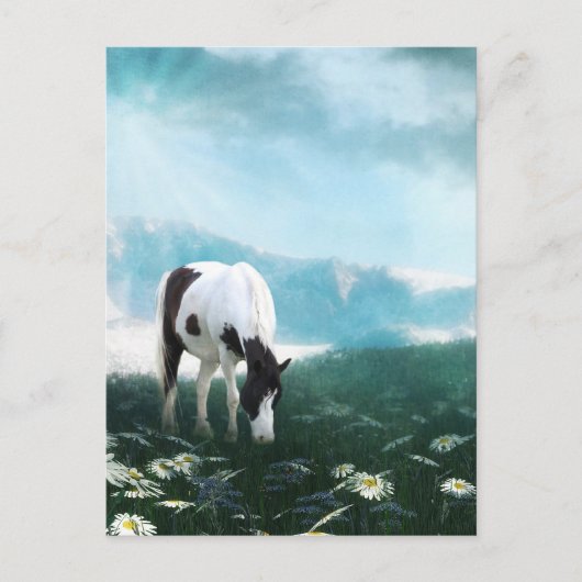 Carte Postale Cheval de peinture (Devant)