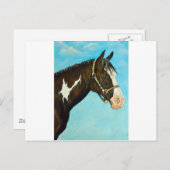 Carte Postale Cheval de peinture (Devant / Derrière)