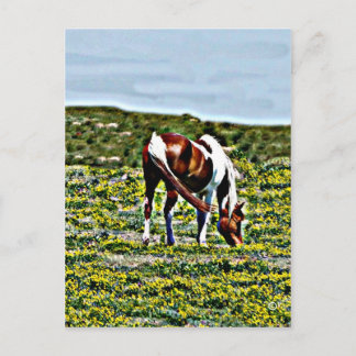 Carte Postale Cheval de Peinture avec fleurs jaunes