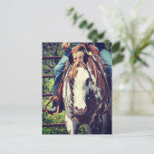 Carte Postale Cheval de peinture de l'Ouest (Debout devant)